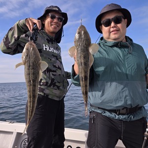 20240926_080018_コピー