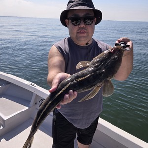 20240926_102304_コピー