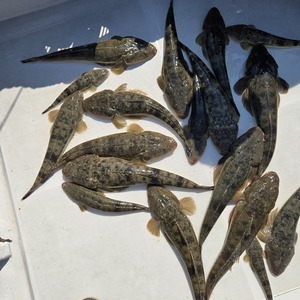 20240926_105317_コピー