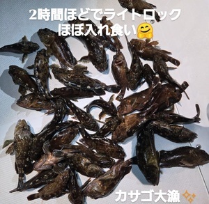 Screenshot_20240928_133723_Instagram_コピー