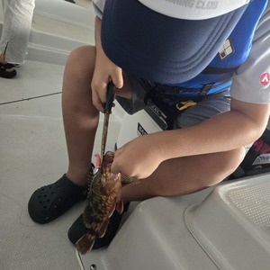 20240929_110308_コピー