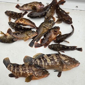 20240929_144909_コピー