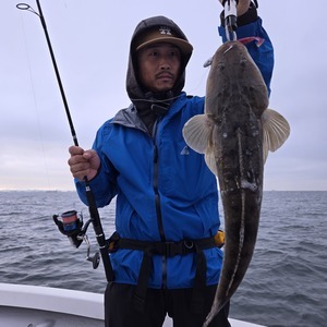 20241006_065324_コピー