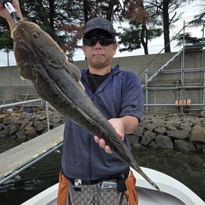 20241006_100144_コピー