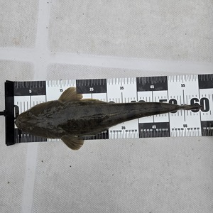 20241006_100530_コピー