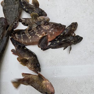 20241006_101042_コピー