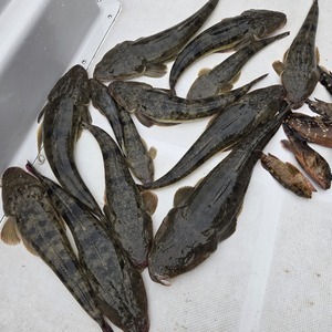 20241006_101047_コピー