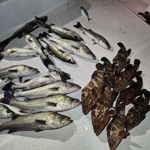 20241207_005813_コピー