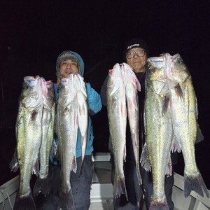 20241210_194729_コピー