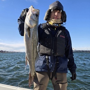 20241214_095411_コピー