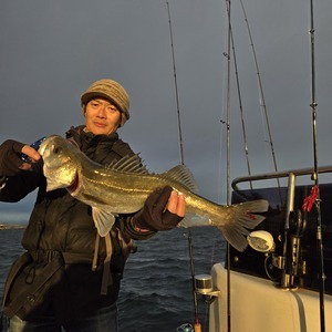 20241214_072346_コピー