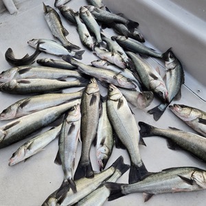 20241225_162810_コピー