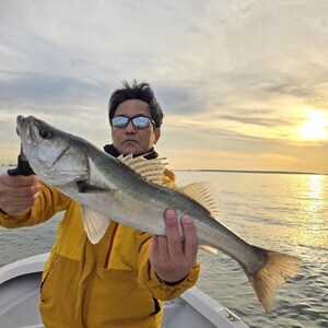 20241225_155447_コピー