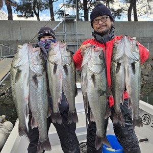 20241228_100233_コピー