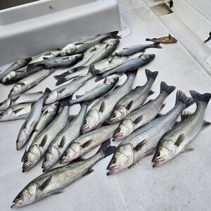 20241228_100452_コピー