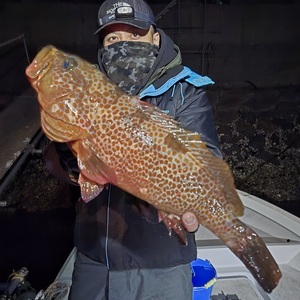 20241228_234907_コピー