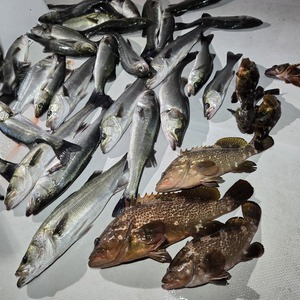 20241228_234345_コピー