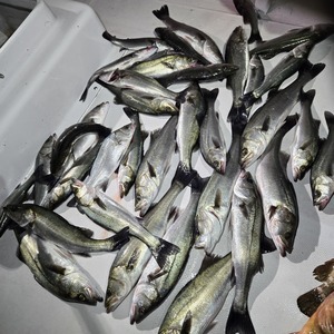 20241228_234242_コピー