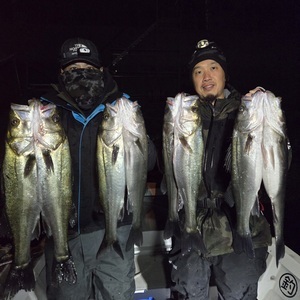 20241228_233833_コピー