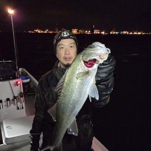 20241228_202351_コピー