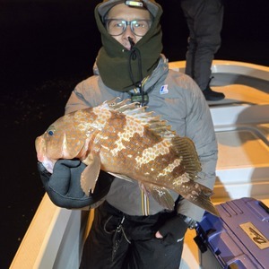 20250125_212443_コピー