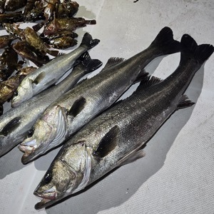 20250201_032856_コピー