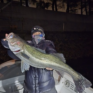 20250201_032321_コピー