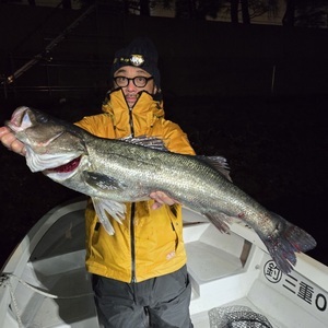 20250201_032038_コピー