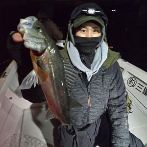 20250208_234150_コピー