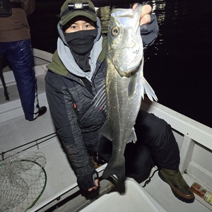 20250209_015739_コピー