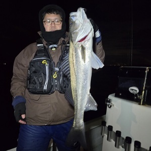 20250209_031130_コピー