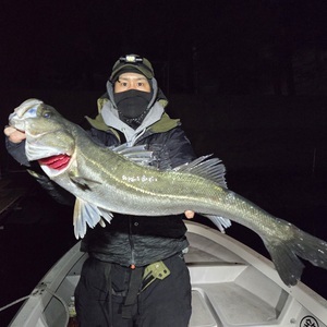 20250209_035024_コピー