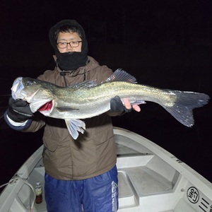 20250209_035255_コピー