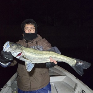 20250209_035345_コピー