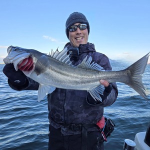 20250210_084947_コピー