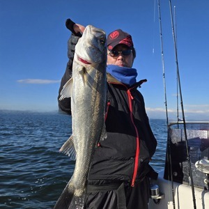 20250210_091425_コピー