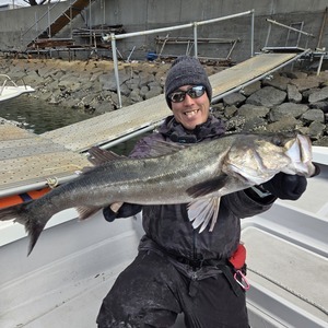 20250210_120635_コピー