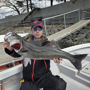 20250210_120659_コピー