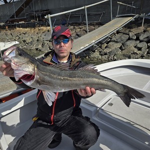 20250210_120930_コピー