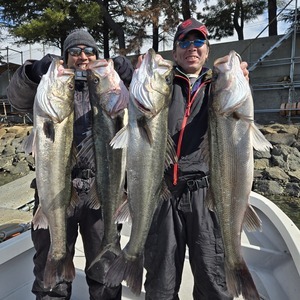 20250210_121328_コピー