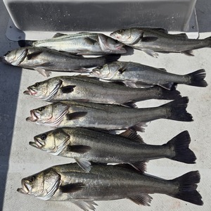 20250210_121602_コピー