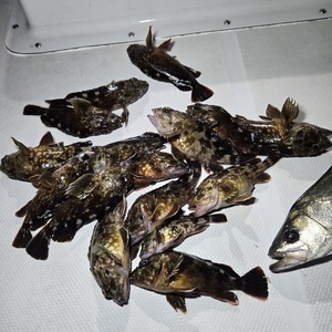 20250211_014343_コピー