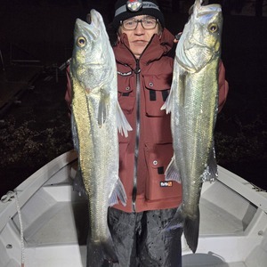 20250211_014310_コピー