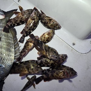 20250214_063210_コピー