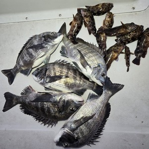 20250214_063200_コピー