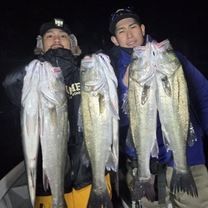 20250217_054901_コピー