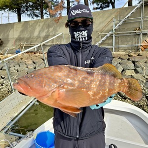 20250216_134618_コピー