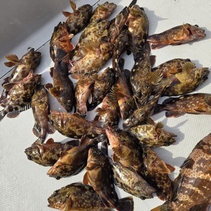 20250216_134526_コピー