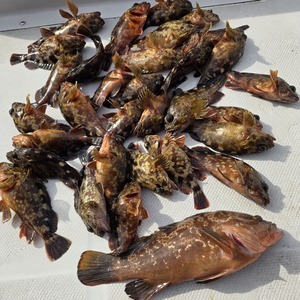 20250216_134456_コピー