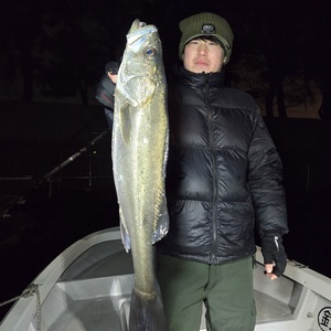 20250216_054136_コピー